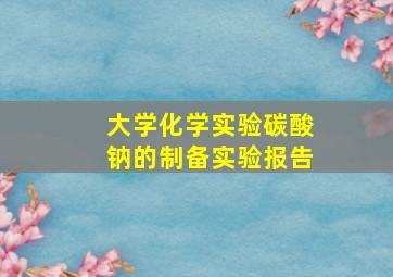 大学化学实验碳酸钠的制备实验报告