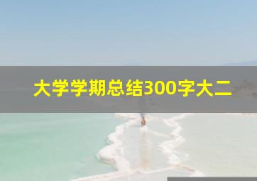 大学学期总结300字大二