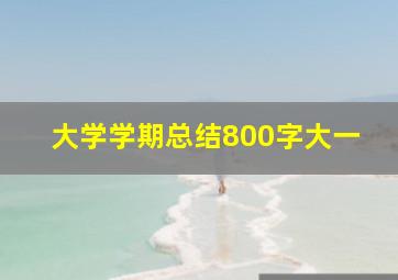 大学学期总结800字大一