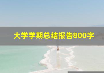 大学学期总结报告800字