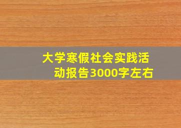 大学寒假社会实践活动报告3000字左右