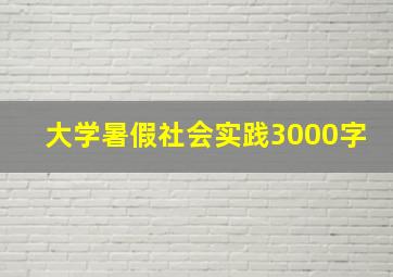 大学暑假社会实践3000字