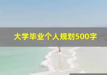 大学毕业个人规划500字