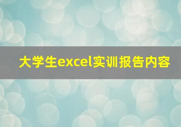 大学生excel实训报告内容