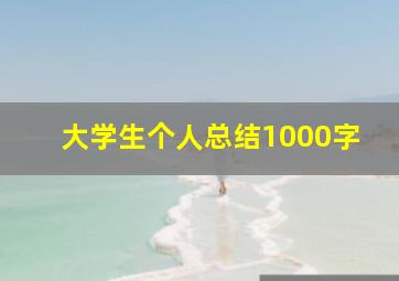 大学生个人总结1000字