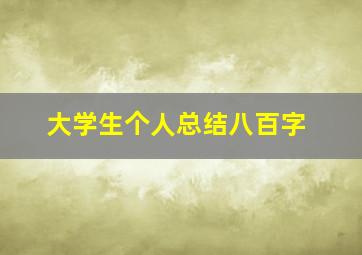 大学生个人总结八百字