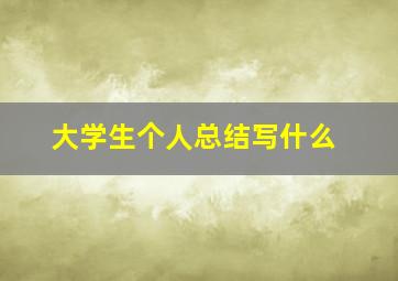 大学生个人总结写什么