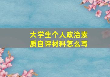 大学生个人政治素质自评材料怎么写