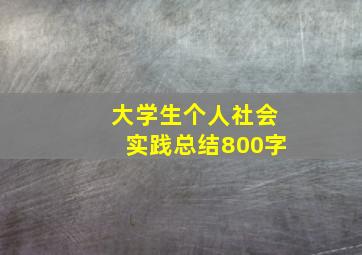 大学生个人社会实践总结800字