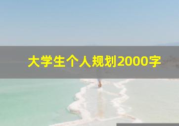 大学生个人规划2000字