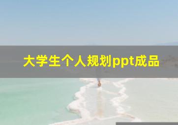 大学生个人规划ppt成品