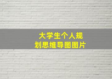 大学生个人规划思维导图图片