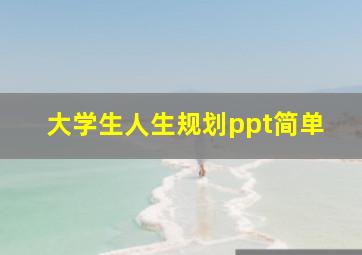 大学生人生规划ppt简单