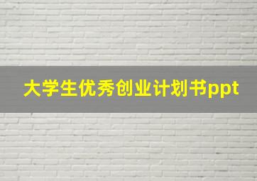 大学生优秀创业计划书ppt