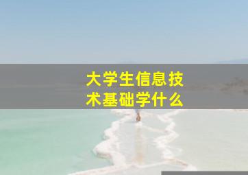 大学生信息技术基础学什么