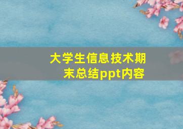 大学生信息技术期末总结ppt内容