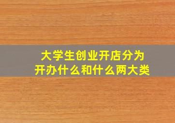 大学生创业开店分为开办什么和什么两大类