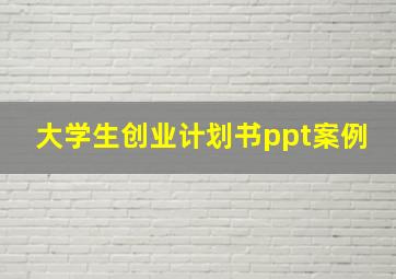 大学生创业计划书ppt案例