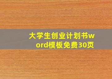 大学生创业计划书word模板免费30页