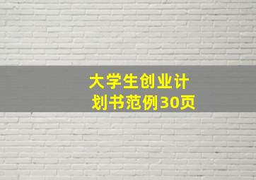 大学生创业计划书范例30页