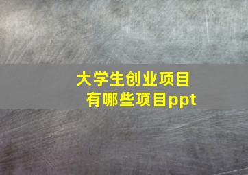 大学生创业项目有哪些项目ppt