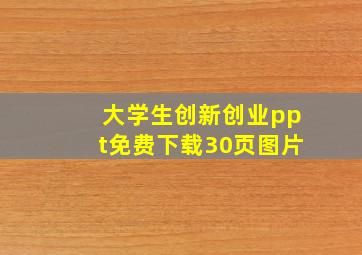 大学生创新创业ppt免费下载30页图片