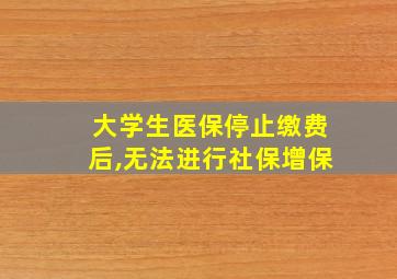 大学生医保停止缴费后,无法进行社保增保