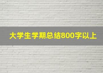 大学生学期总结800字以上