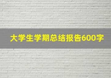 大学生学期总结报告600字