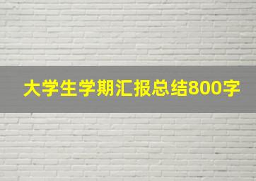 大学生学期汇报总结800字