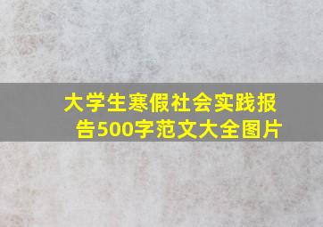 大学生寒假社会实践报告500字范文大全图片