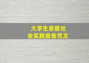 大学生寒假社会实践报告范文