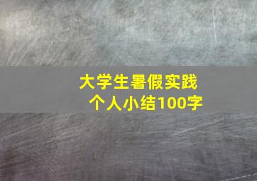 大学生暑假实践个人小结100字