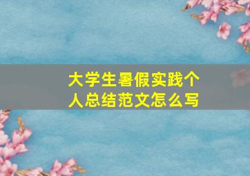 大学生暑假实践个人总结范文怎么写