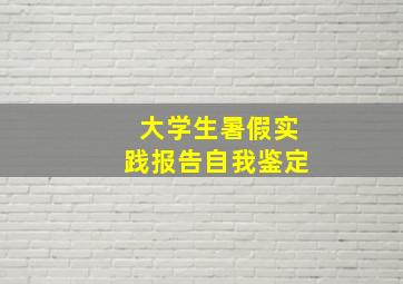 大学生暑假实践报告自我鉴定