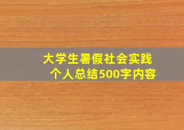 大学生暑假社会实践个人总结500字内容