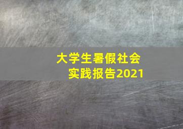 大学生暑假社会实践报告2021