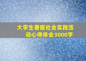 大学生暑假社会实践活动心得体会3000字