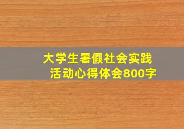 大学生暑假社会实践活动心得体会800字