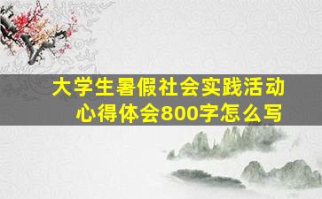 大学生暑假社会实践活动心得体会800字怎么写