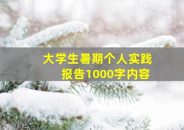 大学生暑期个人实践报告1000字内容