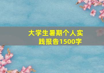 大学生暑期个人实践报告1500字