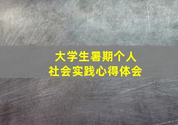 大学生暑期个人社会实践心得体会