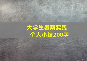 大学生暑期实践个人小结200字