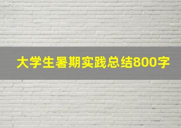 大学生暑期实践总结800字