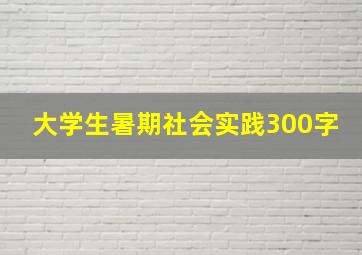 大学生暑期社会实践300字