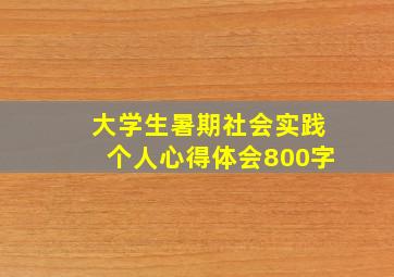 大学生暑期社会实践个人心得体会800字