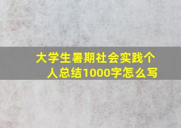 大学生暑期社会实践个人总结1000字怎么写