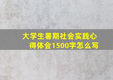 大学生暑期社会实践心得体会1500字怎么写