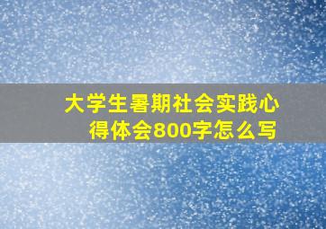 大学生暑期社会实践心得体会800字怎么写